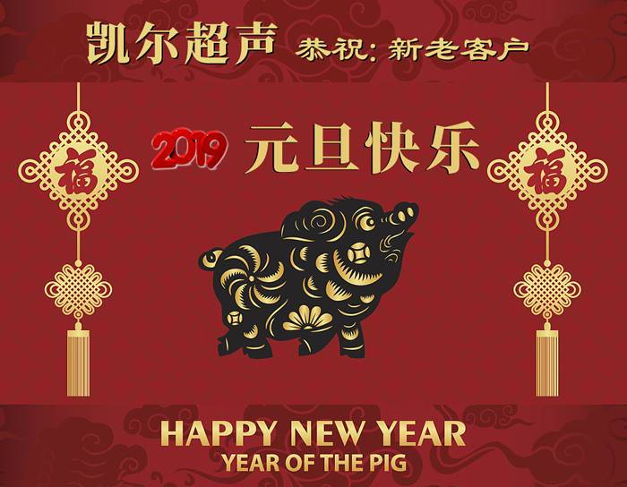 凱爾B超(Kaier)恭祝新老客戶2019年元旦快樂(lè)