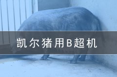 獸用b超機(jī)會給養(yǎng)豬場帶來哪些效益？